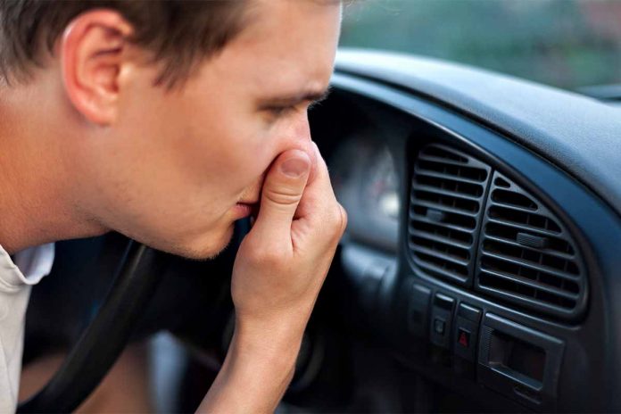 How to Get Rid of Vinegar Smell in Car