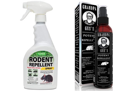 Use Mouse Repellent Products