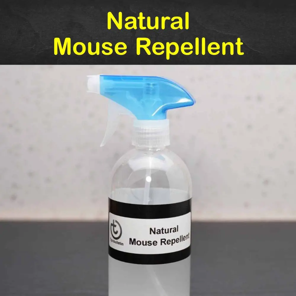 Use natural repellents