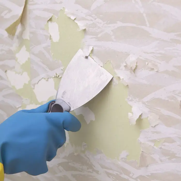 How to Fix Ford Peeling Paint