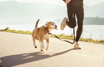 Make sure your pet has regular exercise.