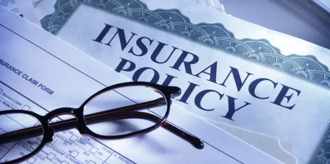 Notify Your Insurance Company