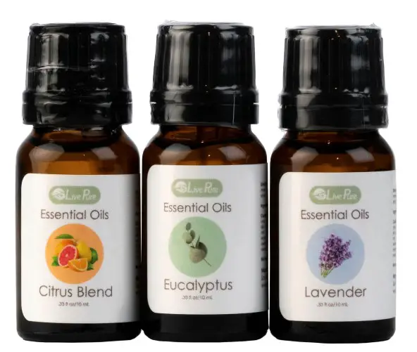 Choose Your ScentÂ